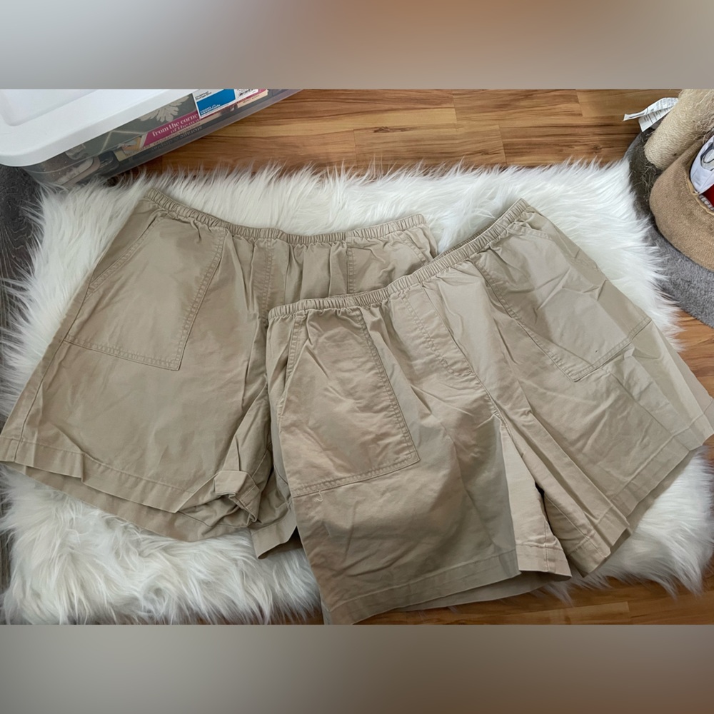🩳SET OF 2🩳 L.L. Bean shorts